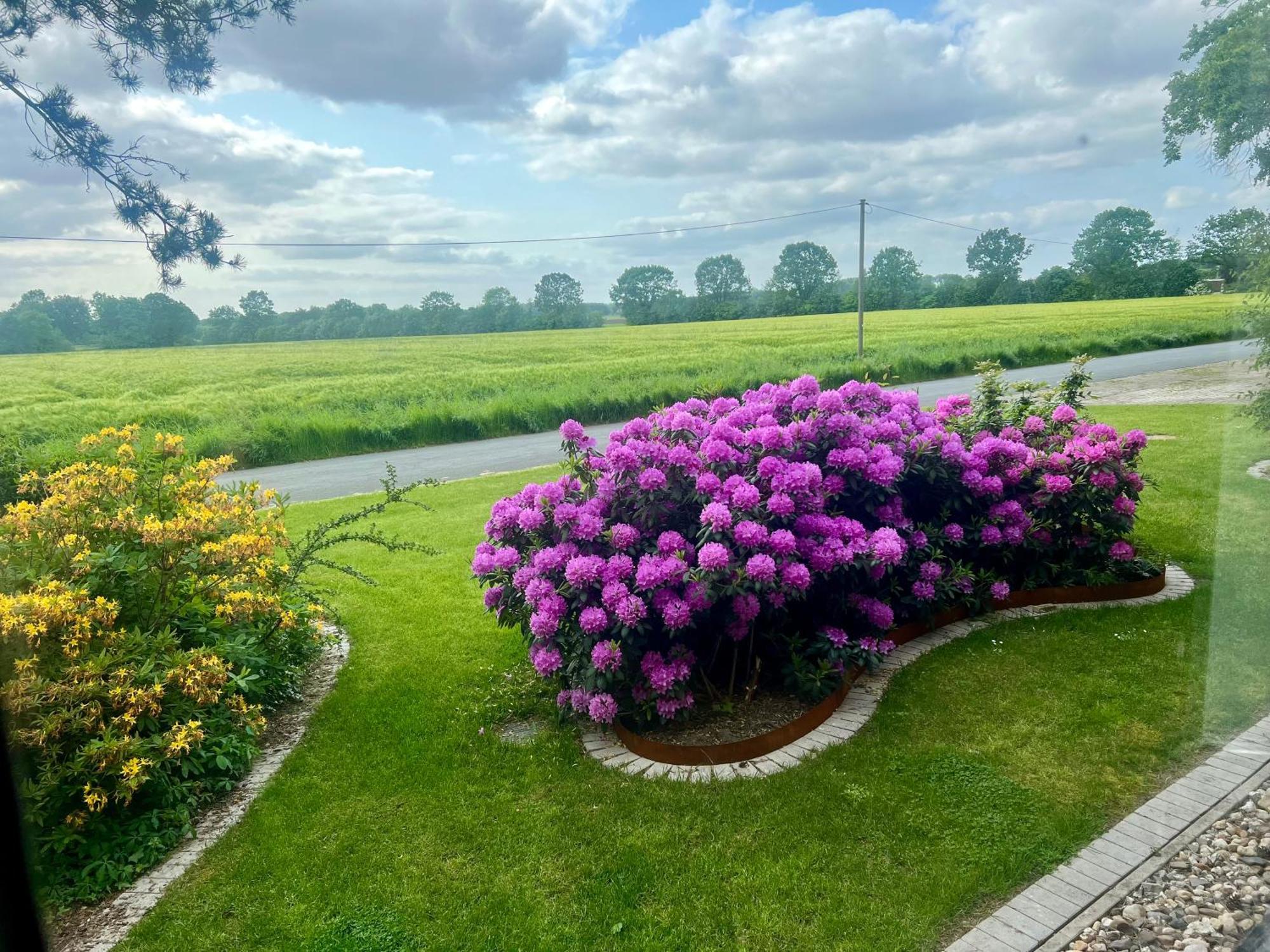 Dreckerhook, Oasis To Slow Down! Raesfeld Buitenkant foto